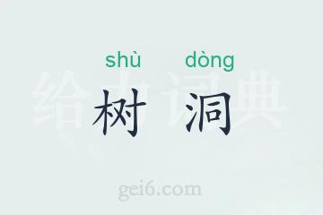 树洞