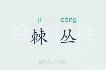 棘丛