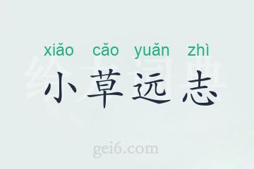 小草远志
