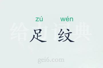 足纹