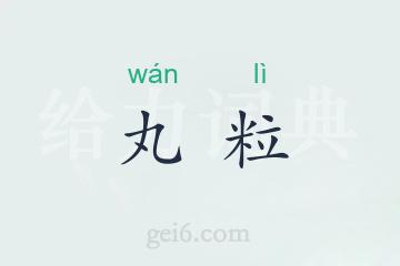 丸粒