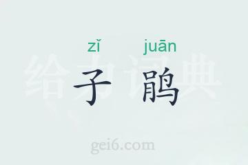 子鹃