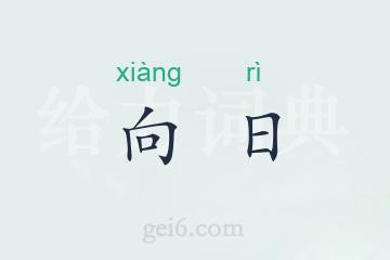 向日