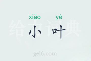 小叶