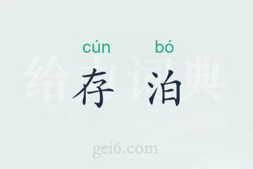 存泊