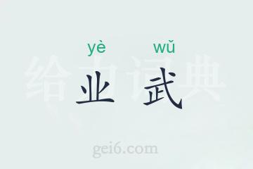 业武