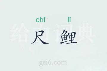 尺鲤