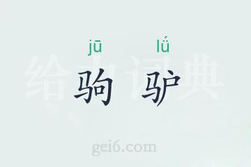 驹驴