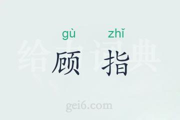 顾指