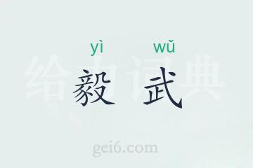 毅武