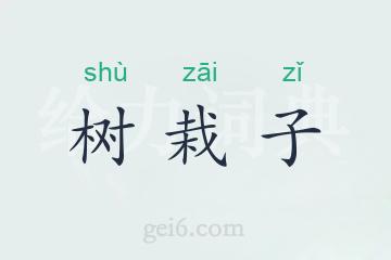 树栽子