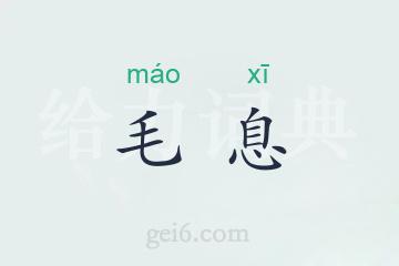 毛息