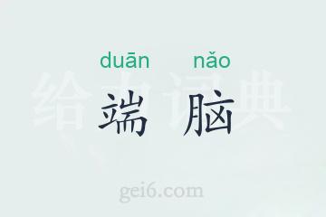 端脑