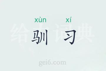 驯习