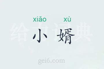 小婿