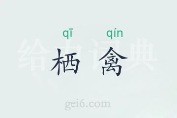 栖禽