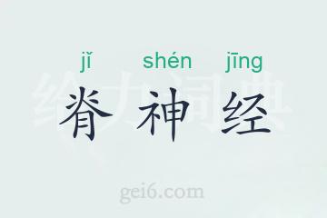 脊神经