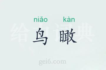 鸟瞰