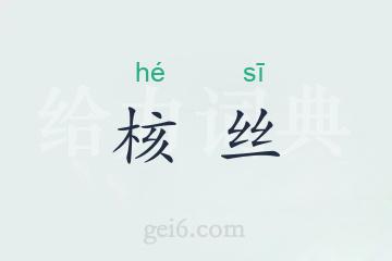 核丝