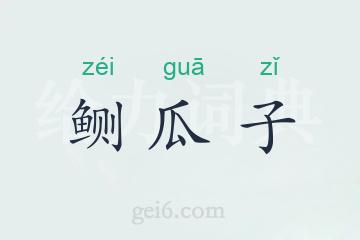 鲗瓜子