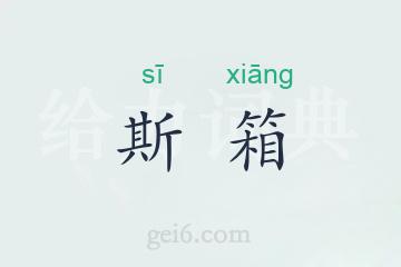 斯箱