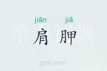 肩胛