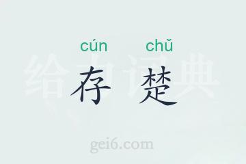 存楚