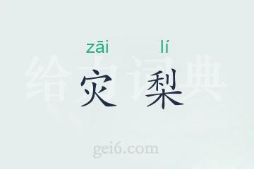 灾梨