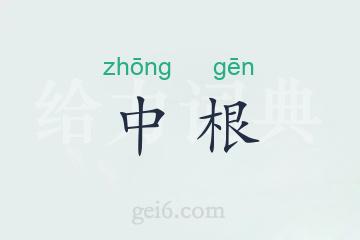 中根