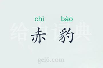 赤豹
