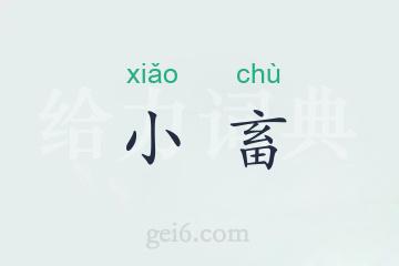 小畜