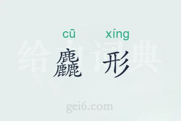 麤形