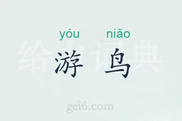 游鸟