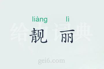 靓丽