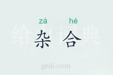 杂合