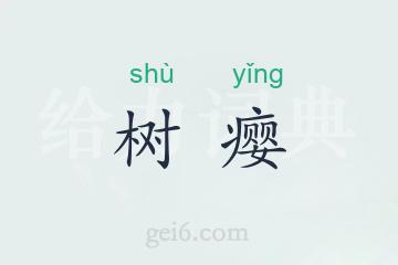 树瘿