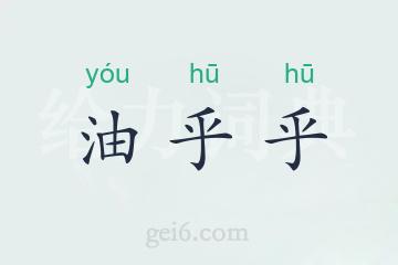 油乎乎