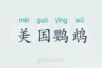 美国鹦鹉
