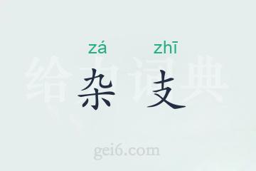 杂支