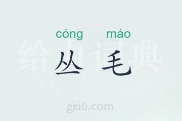 丛毛