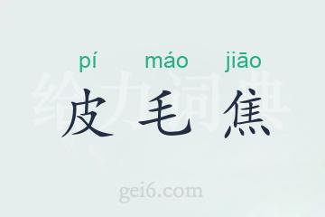 皮毛焦