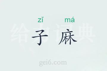 子麻