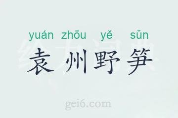 袁州野笋