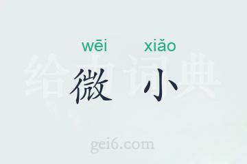 微小