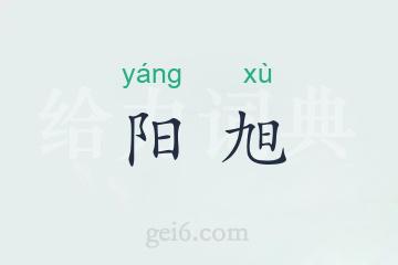 阳旭