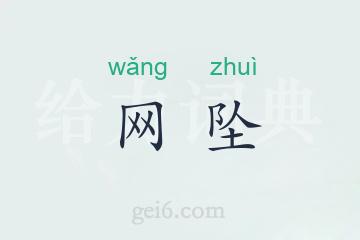 网坠