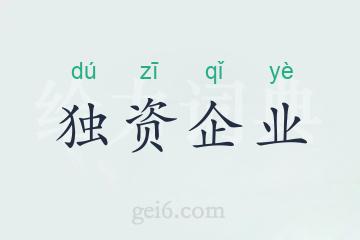 独资企业