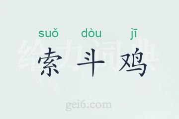 索斗鸡