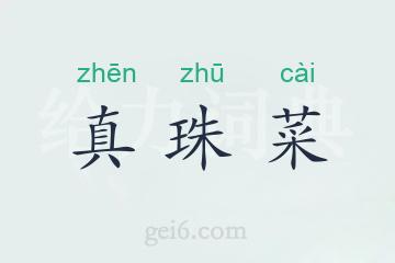 真珠菜
