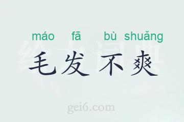 毛发不爽